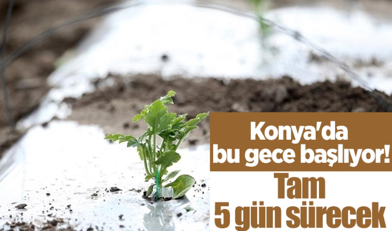  Konya’da bu gece başlıyor! Tam 5 gün sürecek 