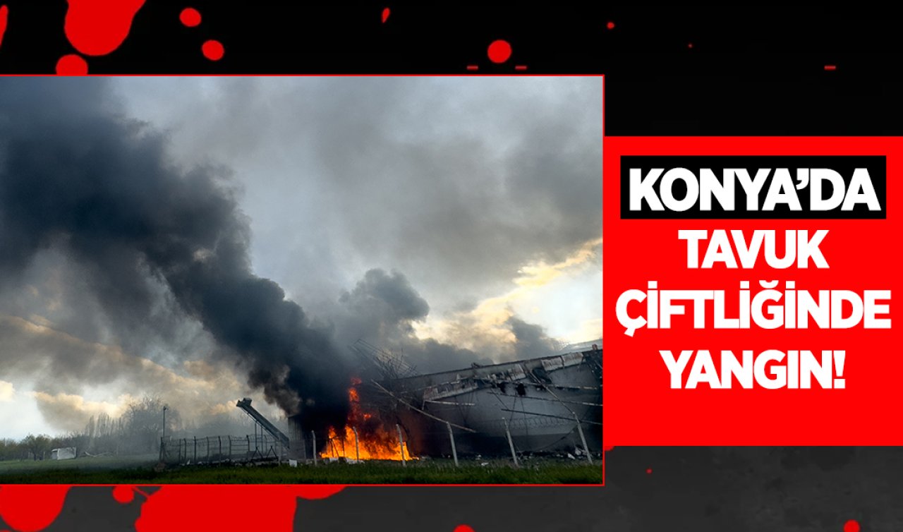 Konya’da tavuk çiftliğinde yangın!