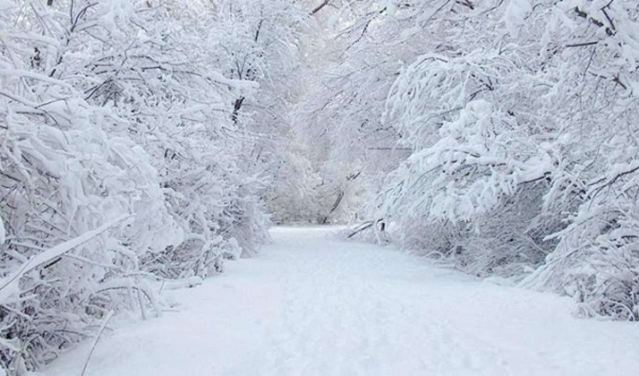 Bolu’da hava kaç gün karlı olacak? İşte 5 günlük Bolu hava durumu