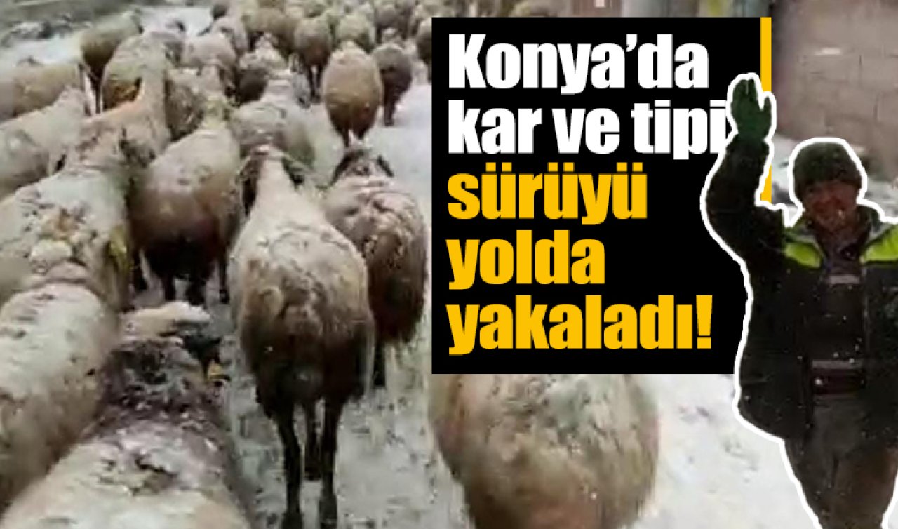 Konya’da kar ve tipi sürüyü yolda yakaladı
