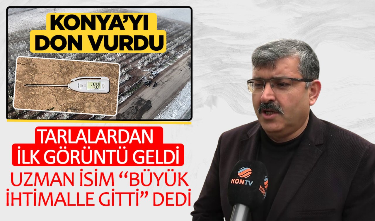 Konya’yı don vurdu! Tarlalardan ilk görüntü geldi: Uzman isim “büyük ihtimalle gitti’’ dedi