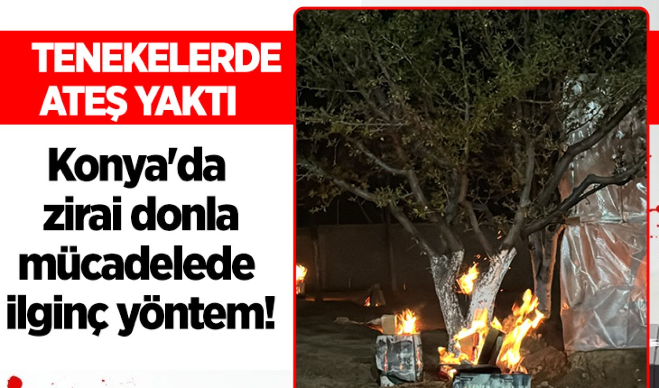 Konya’da zirai donla mücadelede ilginç yöntem! Tenekelerde ateş yaktı