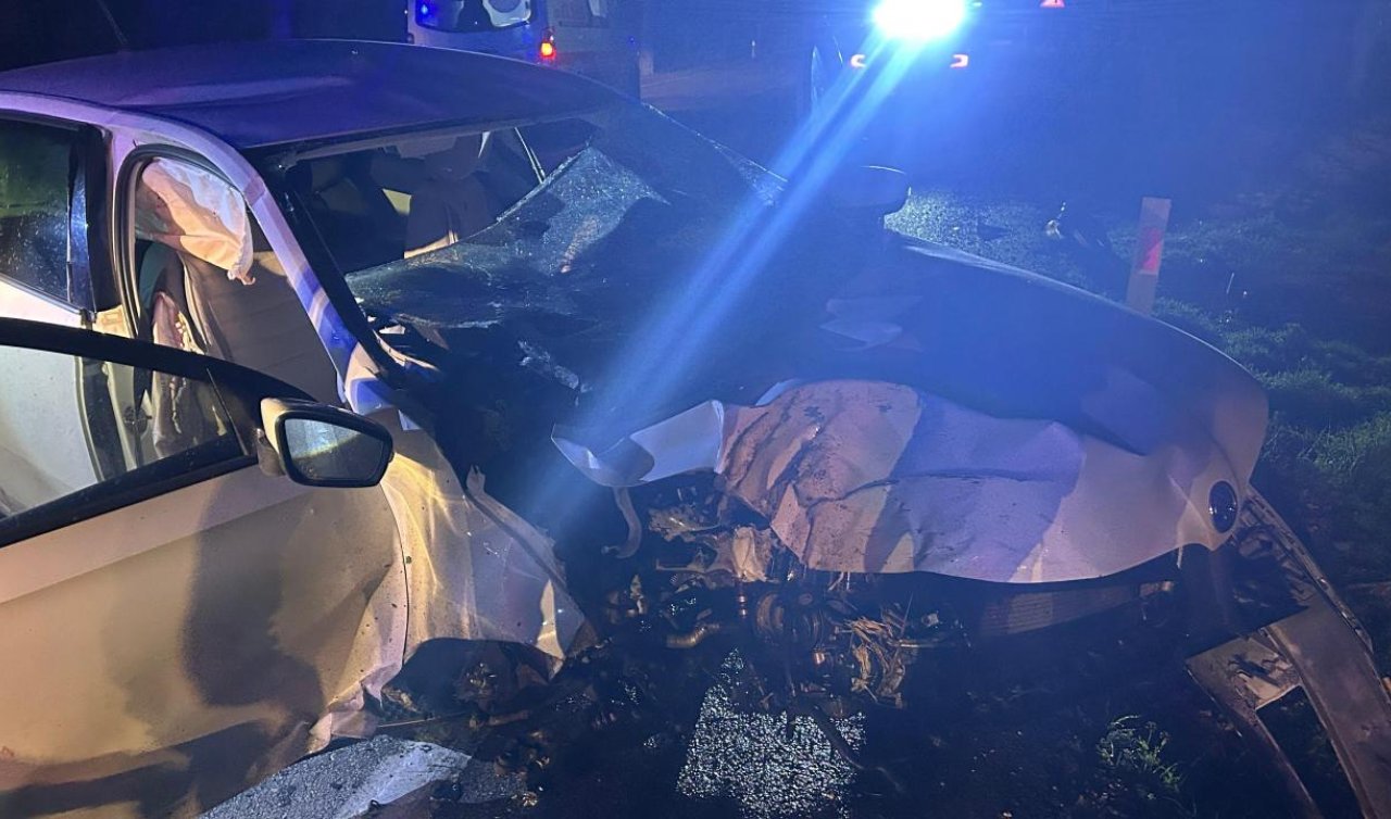 Ağaca çarpan otomobildeki 1 kişi öldü 2 kişi yaralandı