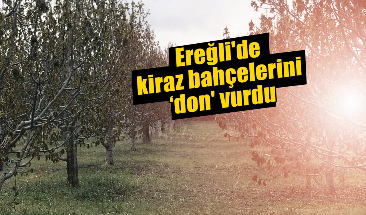 Konya’da beyaz gelinliğin yerini don aldı! 