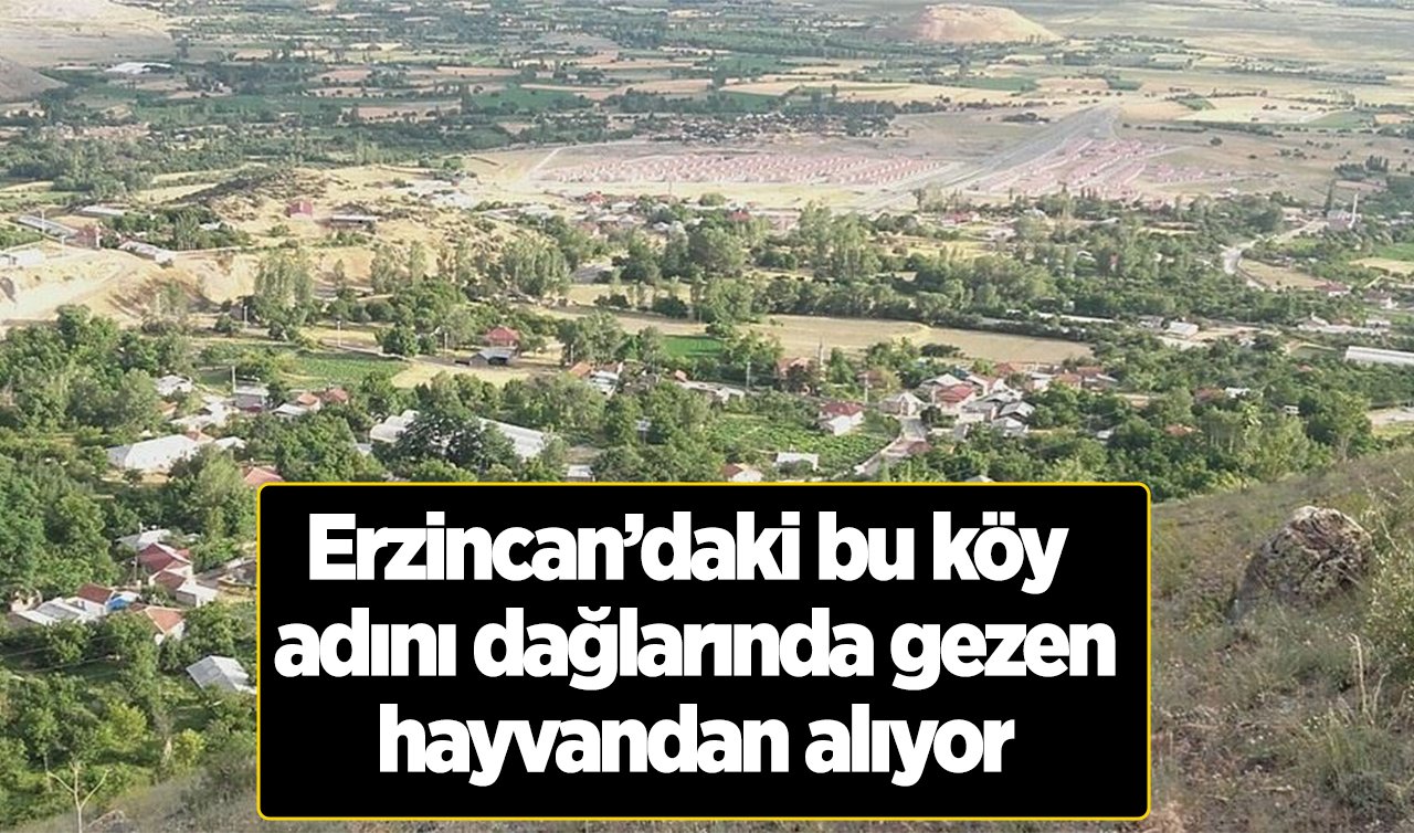 Erzincan’daki bu köy adını dağlarında gezen hayvandan alıyor