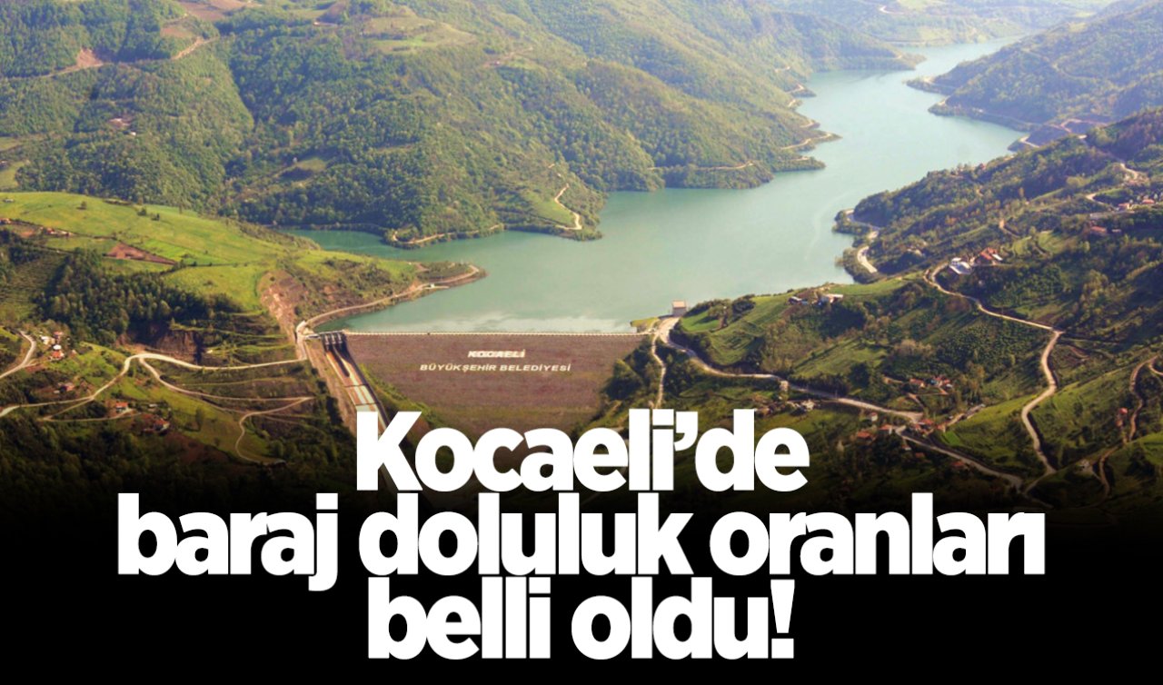 Kocaeli’nin baraj doluluk oranları belli oldu! Yuvacık Barajı’nda son durum