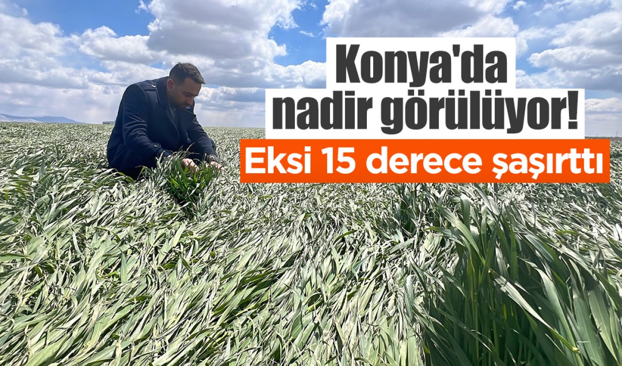  Konya’da nadir görülüyor! Eksi 15 derece şaşırttı