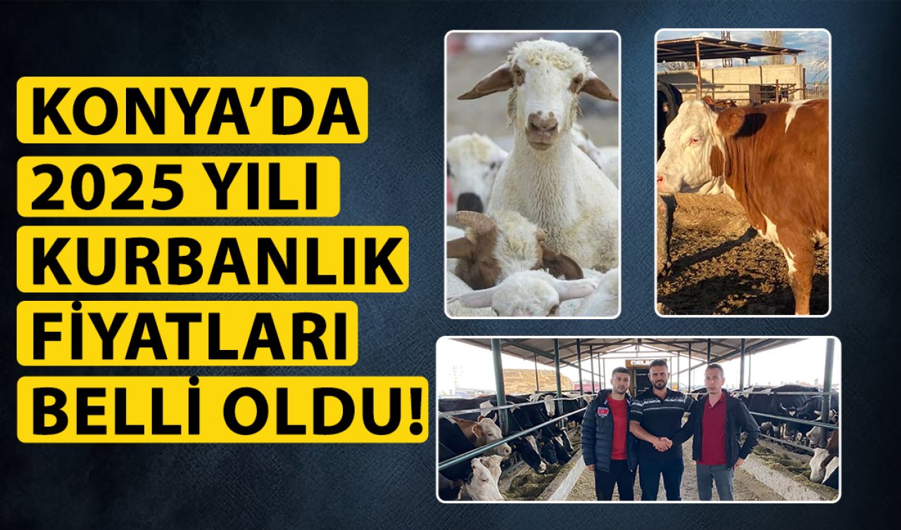 Konya’da 2025 yılı kurbanlık fiyatları belli oldu!