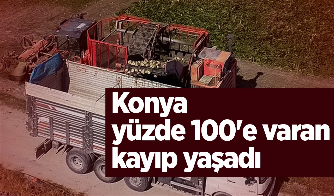 Konya Ovası alarm veriyor! Yüzde 100’e varan kayıp yaşandı 