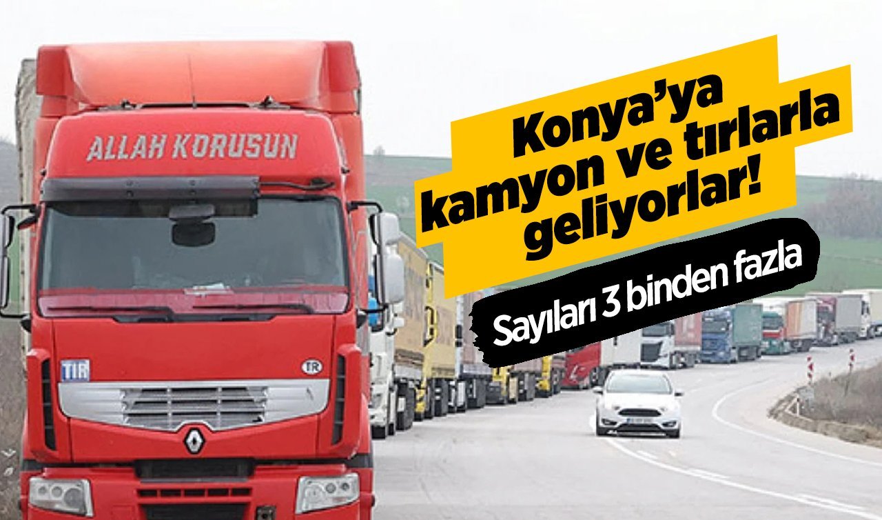 Kamyonlarla Konya’ya taşınıyorlar! Sayıları 3 binden fazla