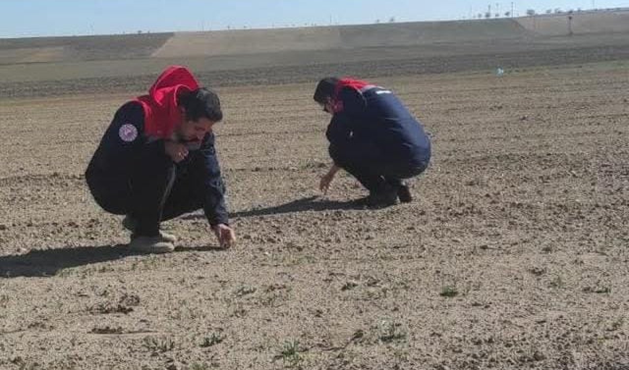 Konya’da don zararı tespit çalışmaları devam ediyor