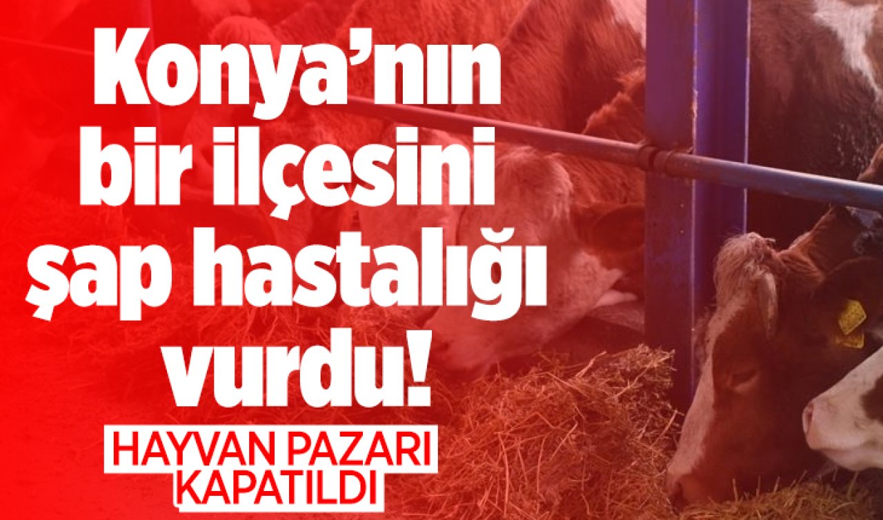  Konya’nın bir ilçesini şap hastalığı vurdu! Hayvan pazarı kapatıldı