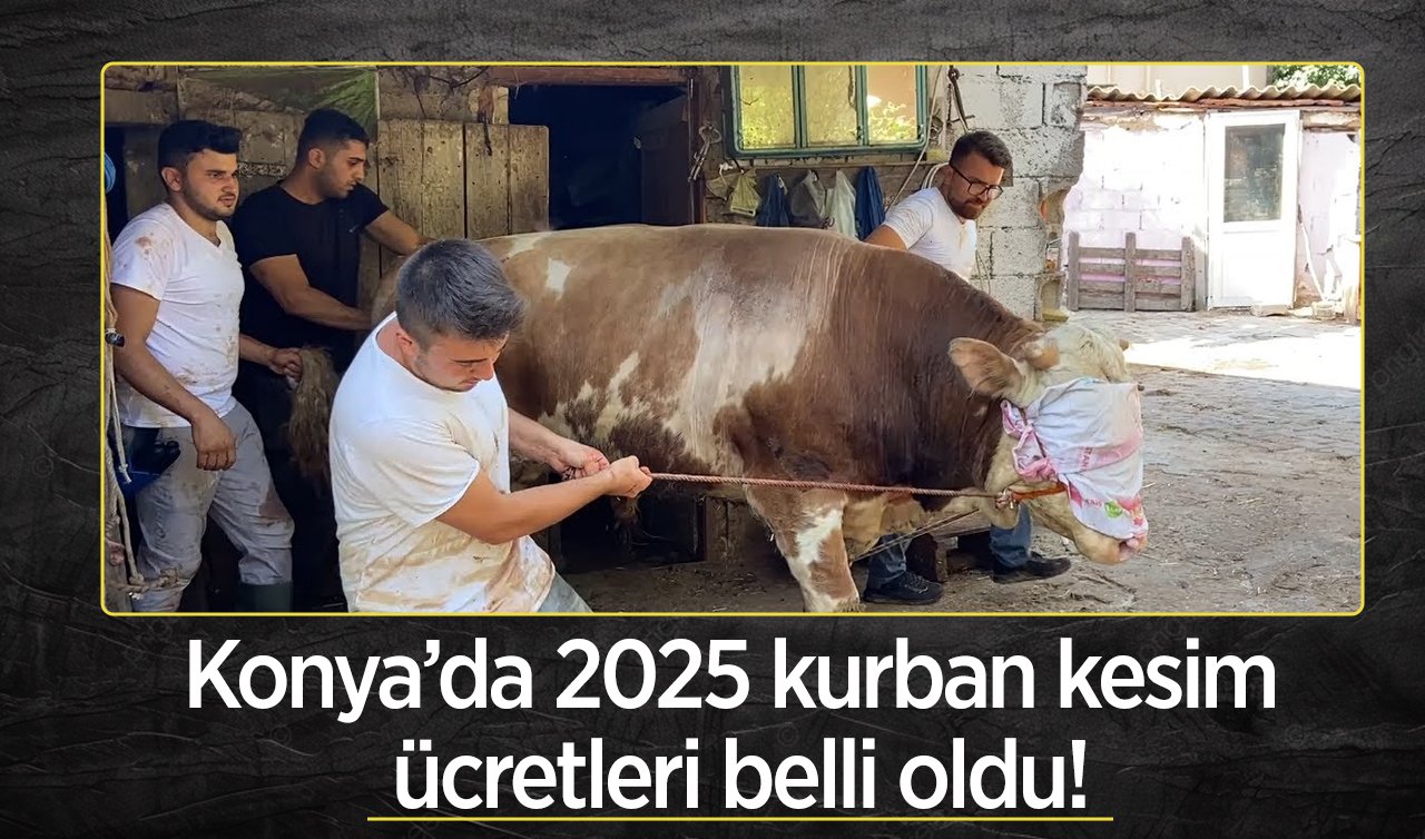 Konya’da 2025 kurban kesim ücretleri belli oldu!