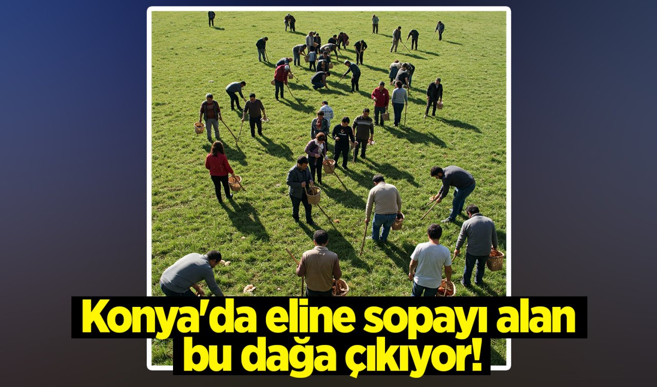 Konya’da eline sopayı alan bu dağa çıkıyor! Kilolarca bulmaya çalışıyorlar