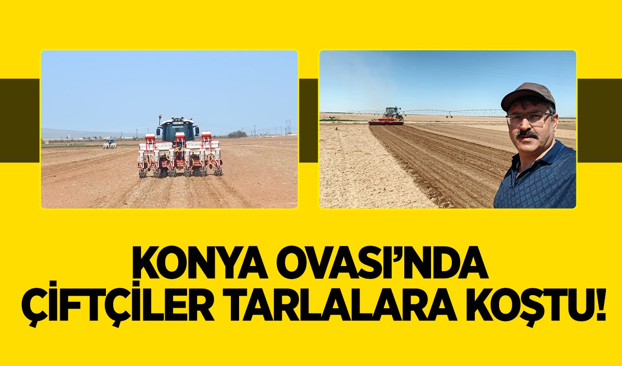 Konya Ovası’nda Çiftçiler Tarlalara Koştu!