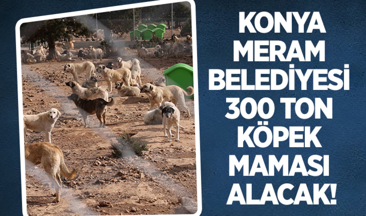 Konya Meram Belediyesi 300 ton köpek maması alacak! 