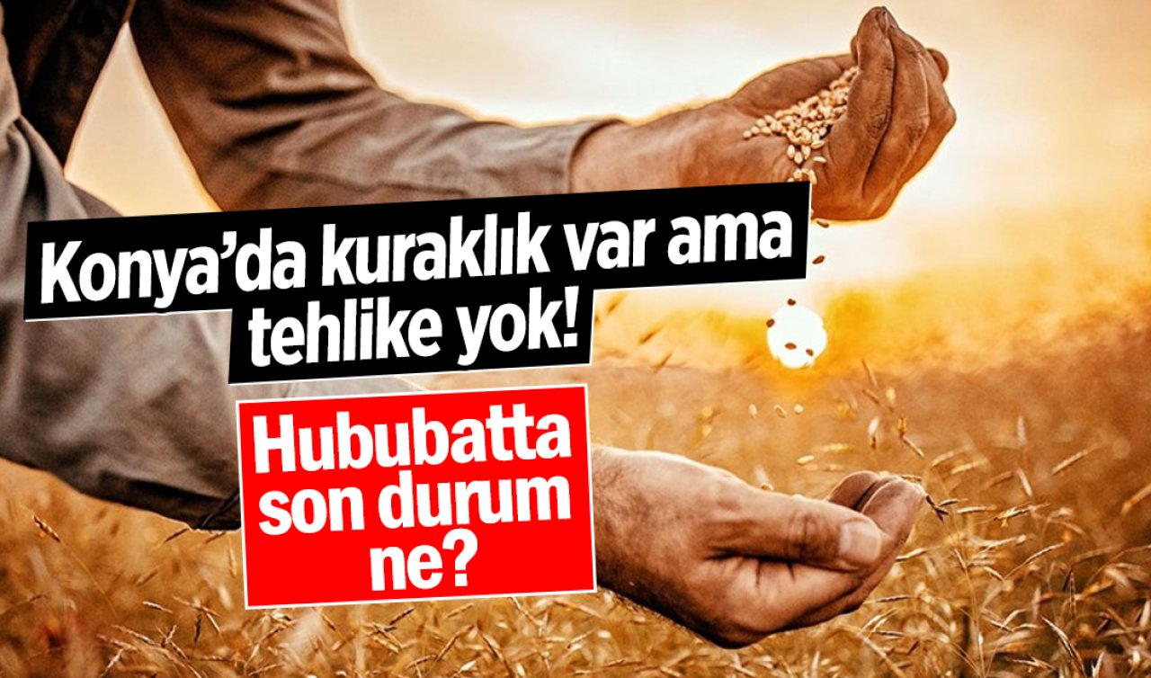 Konya’da kuraklık var ama tehlike yok! Hububatta son durum ne?