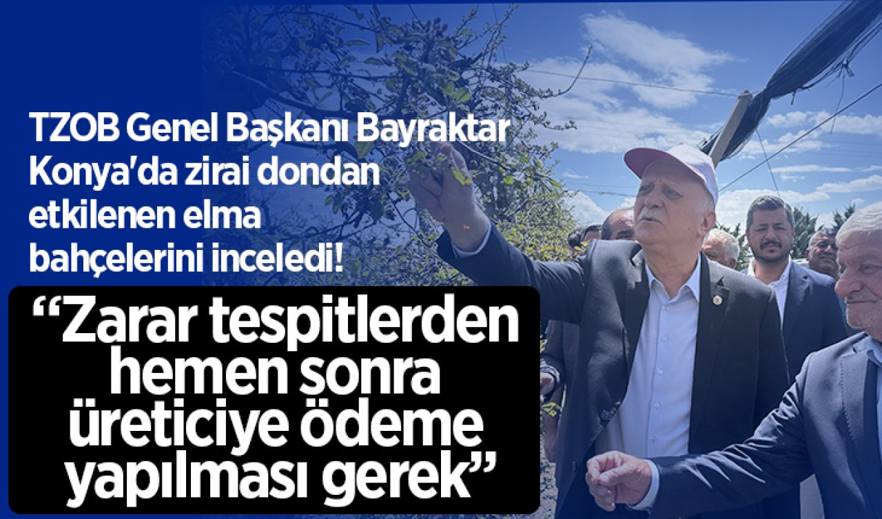 TZOB Genel Başkanı Bayraktar Konya’da zirai dondan etkilenen elma bahçelerini inceledi! 