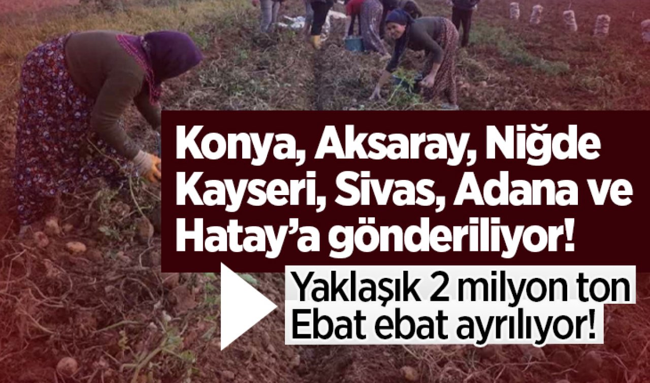 Konya, Aksaray, Niğde, Kayseri, Sivas, Adana ve Hatay’a gönderiliyor! Yaklaşık 2 milyon ton: Ebat ebat ayrılıyor! 
