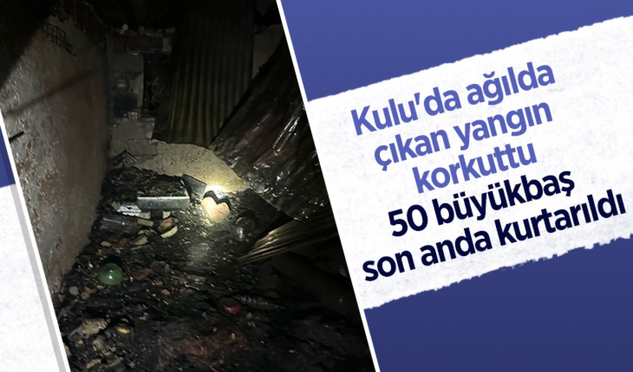Kulu’da ağılda çıkan yangın korkuttu: 50 büyükbaş son anda kurtarıldı