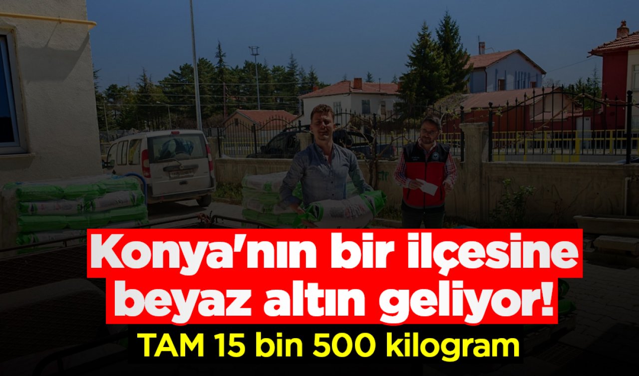 Konya’nın bir ilçesine beyaz altın geliyor! TAM 15 bin 500 kilogram