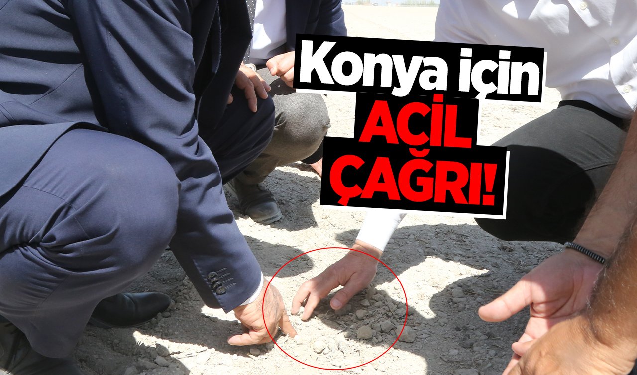  Konya Ovası için ACİL ÇAĞRI! 