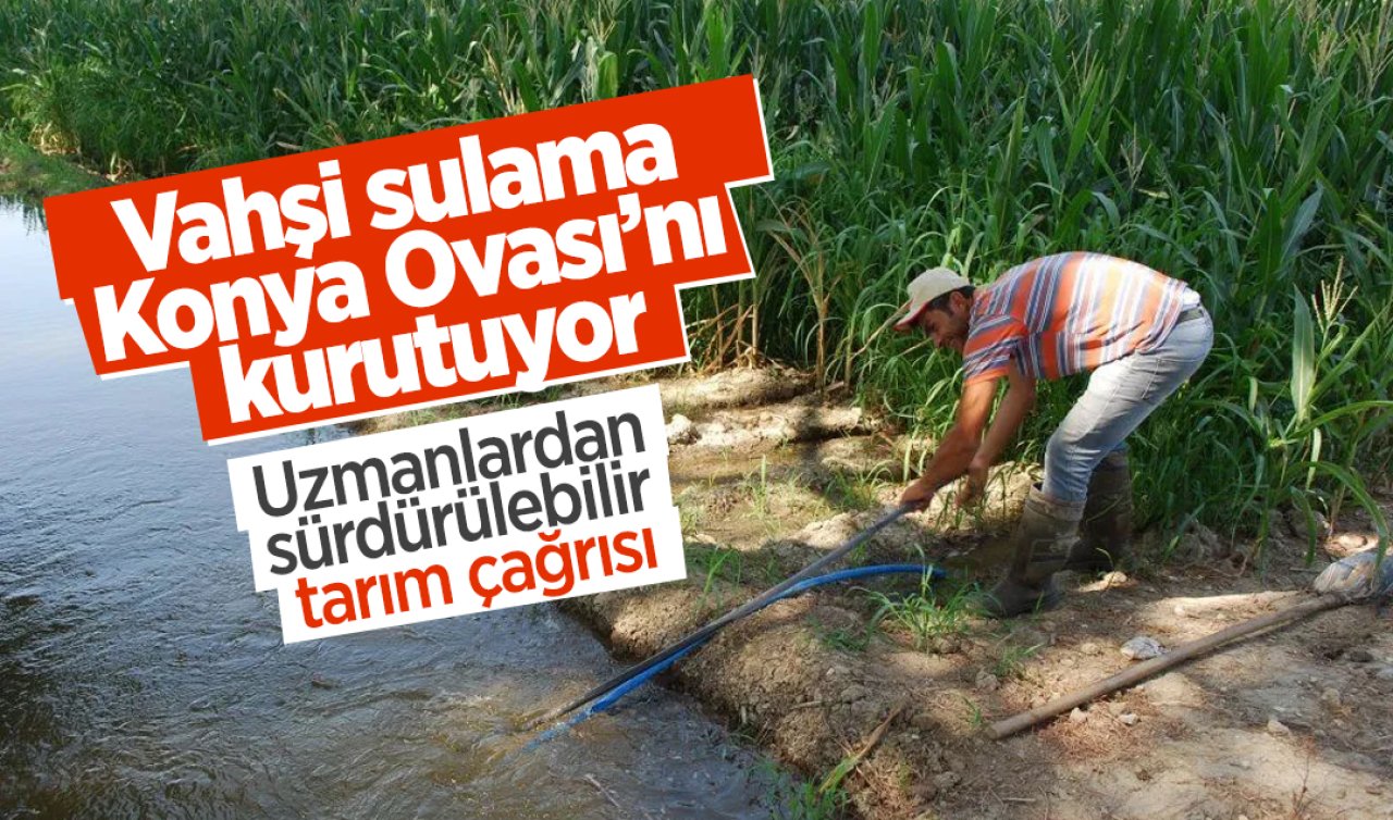 Vahşi Sulama Konya Ovası’nı Kurutuyor: Uzmanlardan Sürdürülebilir Tarım Çağrısı