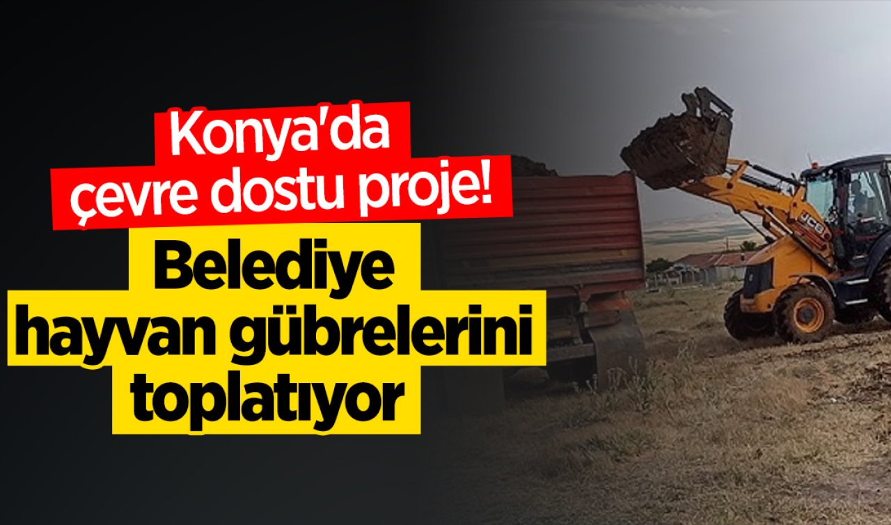 Konya’da çevre dostu proje! Belediye hayvan gübrelerini toplatıyor  
