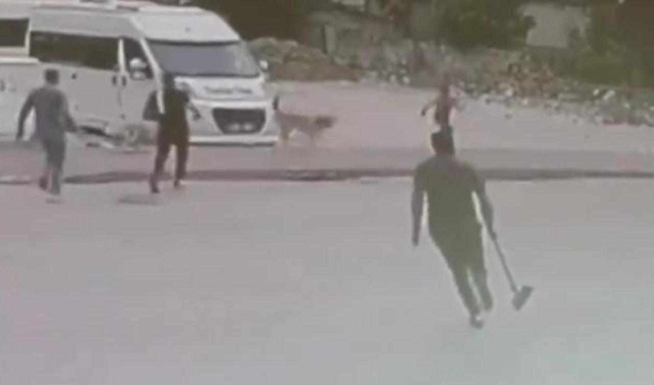 Çocuğa saldıran sokak köpeklerini tahta sopalarla uzaklaştırdılar