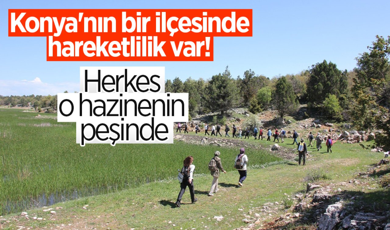 Konya’nın bir ilçesinde hareketlilik var! Herkes o hazinenin peşinde