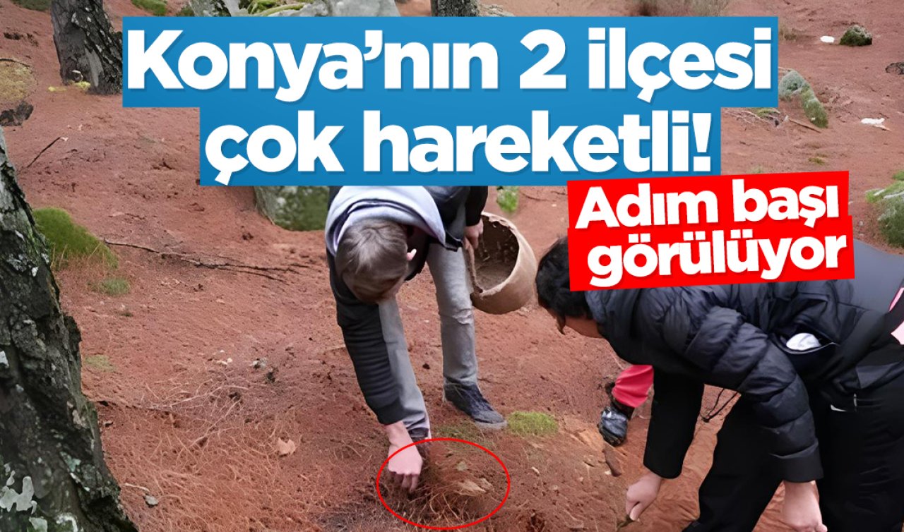 Konya’nın 2 ilçesi çok hareketli! Adım başı görülüyor kilosu 1200 lira ediyor