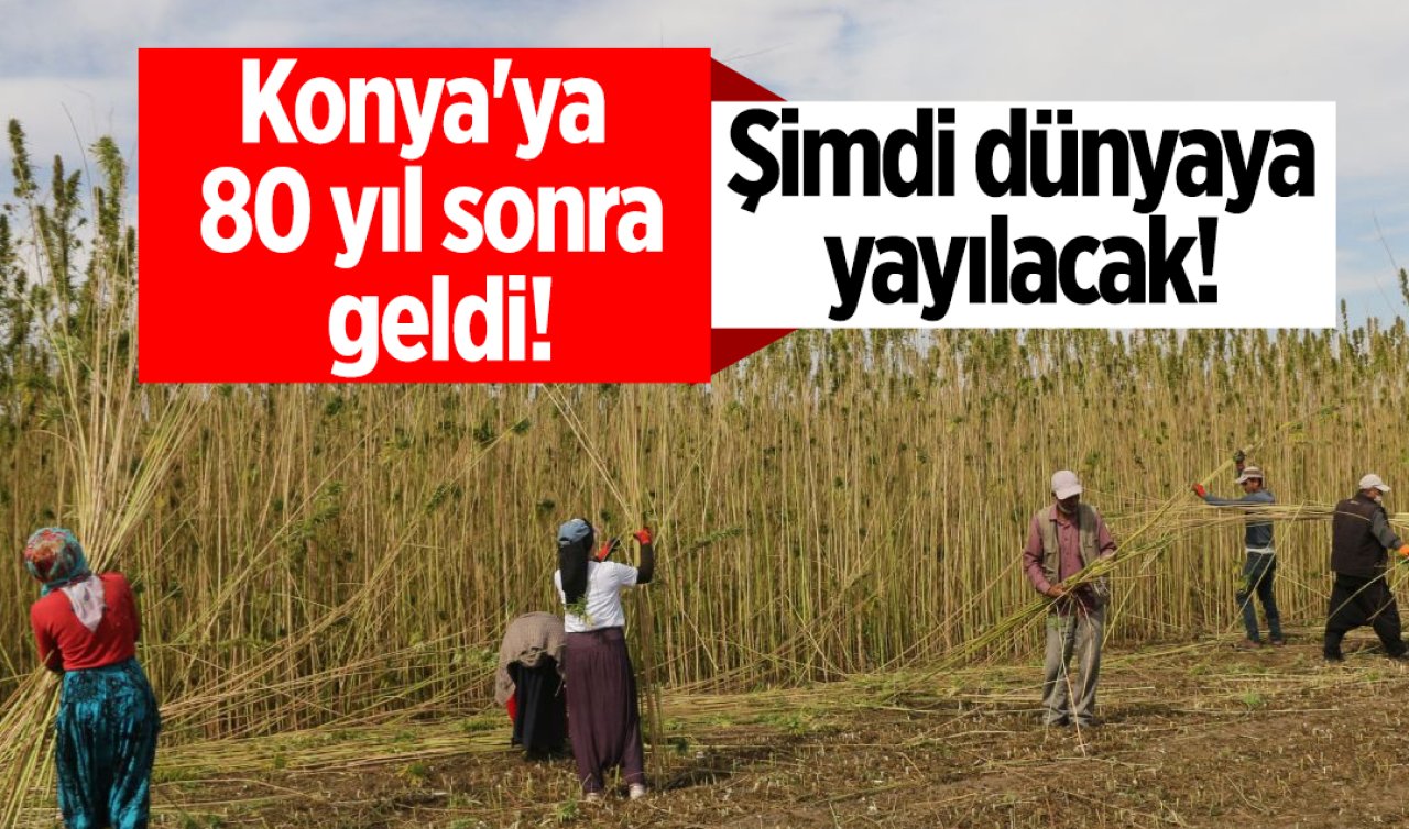 Konya’ya 80 yıl sonra geldi! Şimdi dünyaya yayılacak