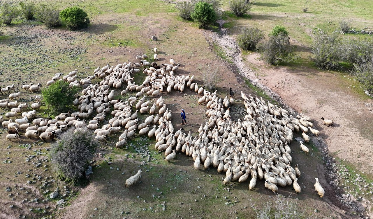  “Şafaklılar’’ın 3 bin rakımlı yaylalara yolculuğu başladı