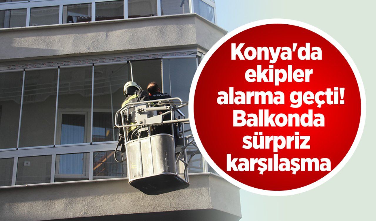 Konya’da ekipler alarma geçti! Balkonda sürpriz karşılaşma