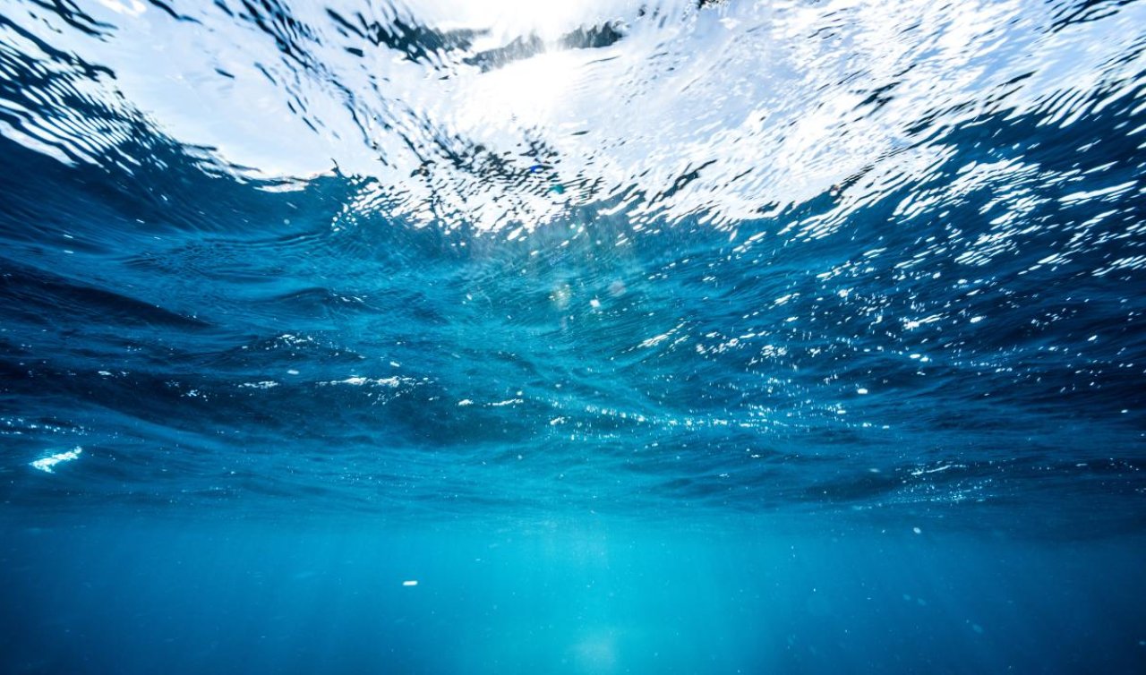 Dünya deniz tabanının sadece binde biri görüntülendi