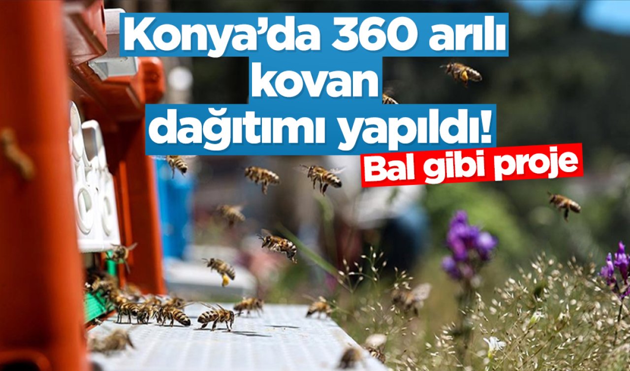 Konya’da 360 arılı kovan dağıtımı yapıldı! Bal gibi proje 