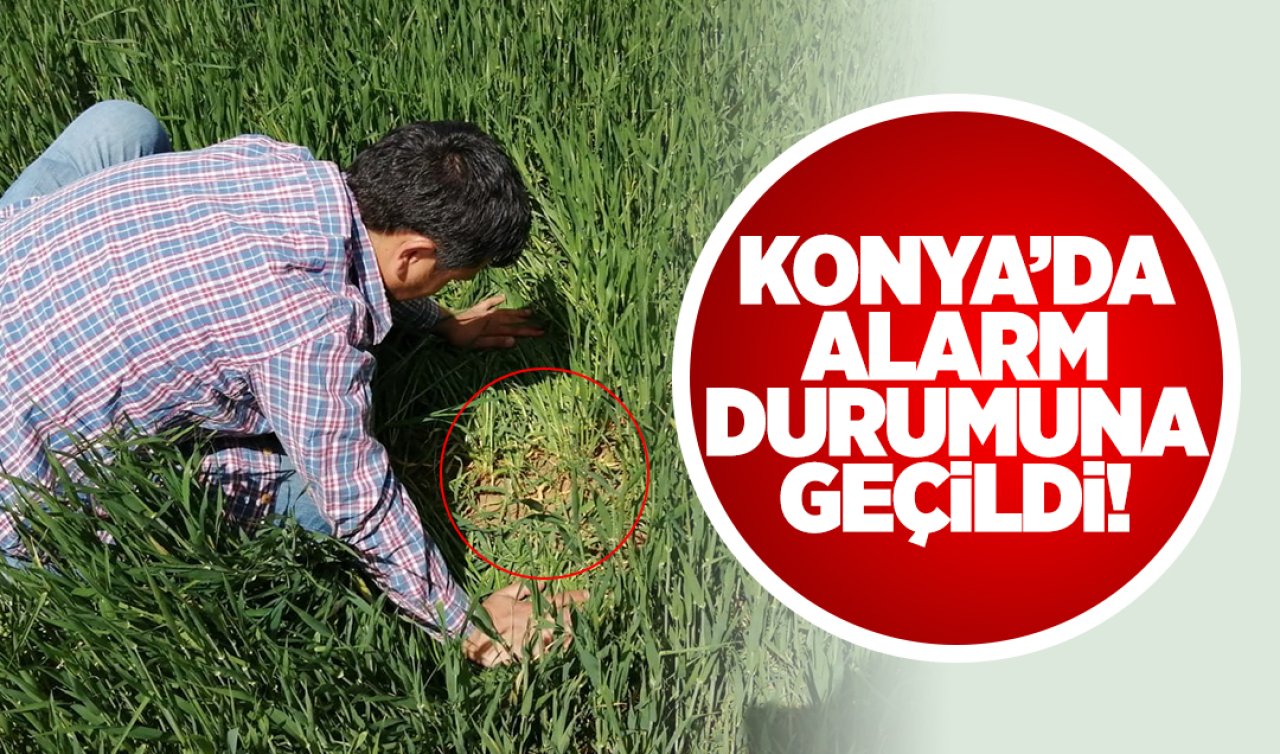  Konya’da alarm durumuna geçildi! 48 ekip ve 160 sahada