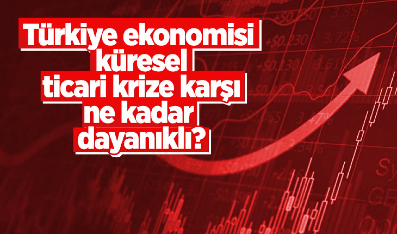 Türkiye ekonomisi küresel ticari krize karşı ne kadar dayanıklı?