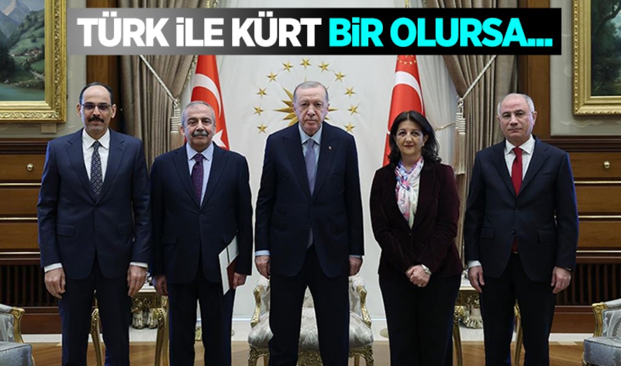 Türk ile Kürt bir olursa...