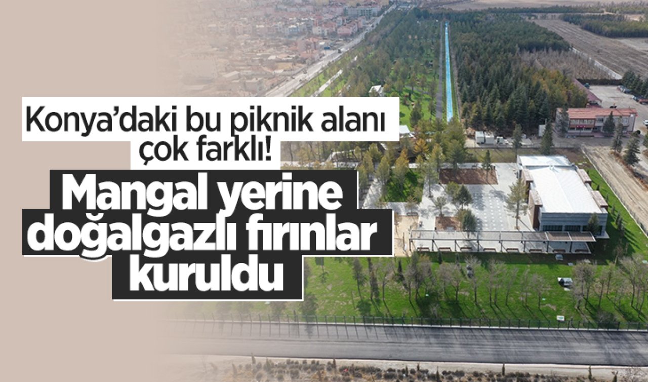 Konya’daki bu piknik alanı çok farklı! Doğalgazlı fırınlar var