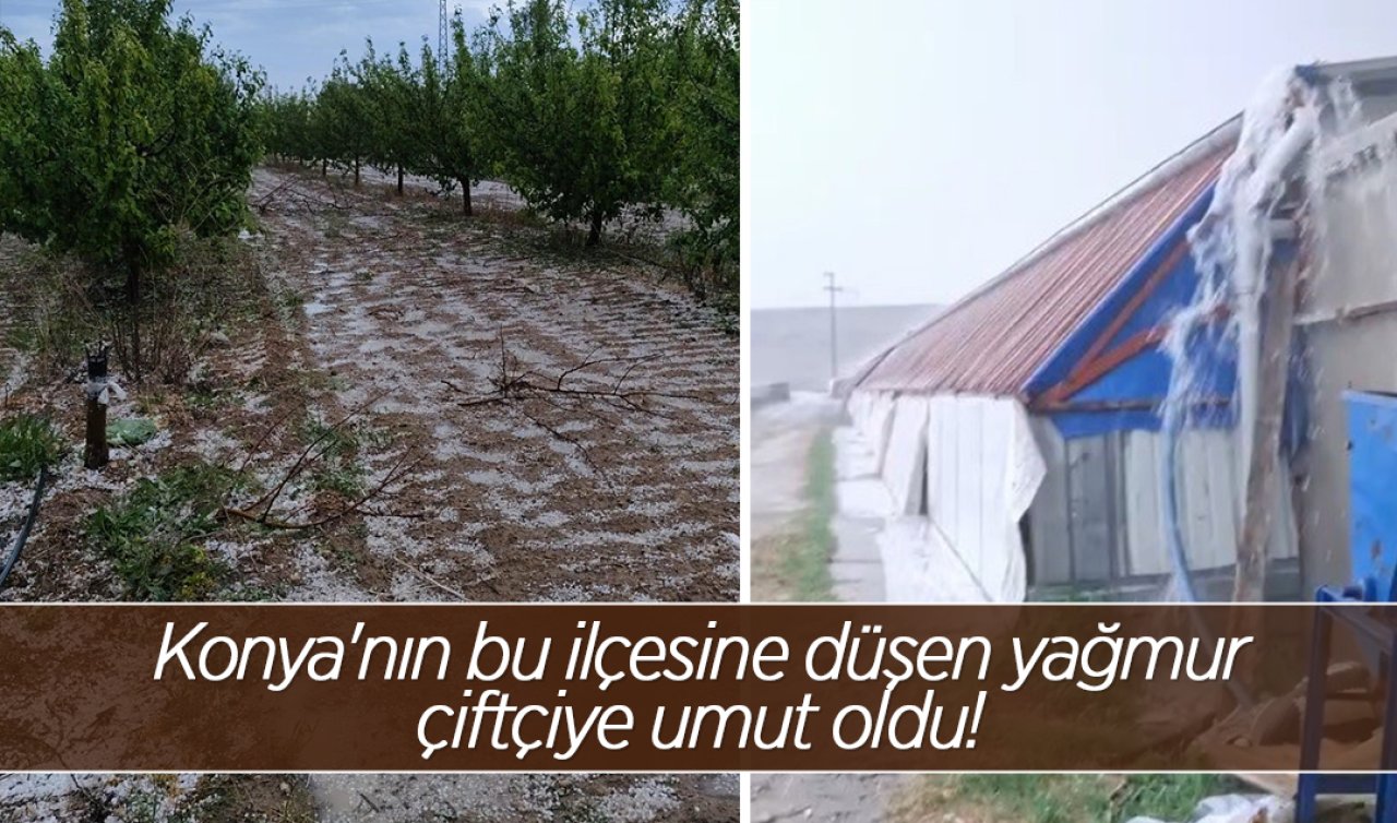 Konya’nın bu ilçesine düşen yağmur çiftçiye umut oldu! 