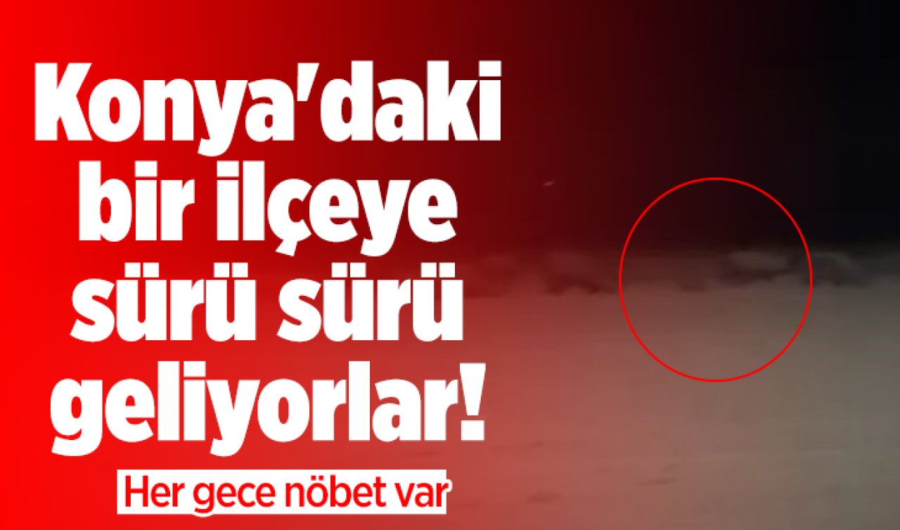 Konya’daki bir ilçeye sürü sürü geliyorlar! Her gece nöbet var