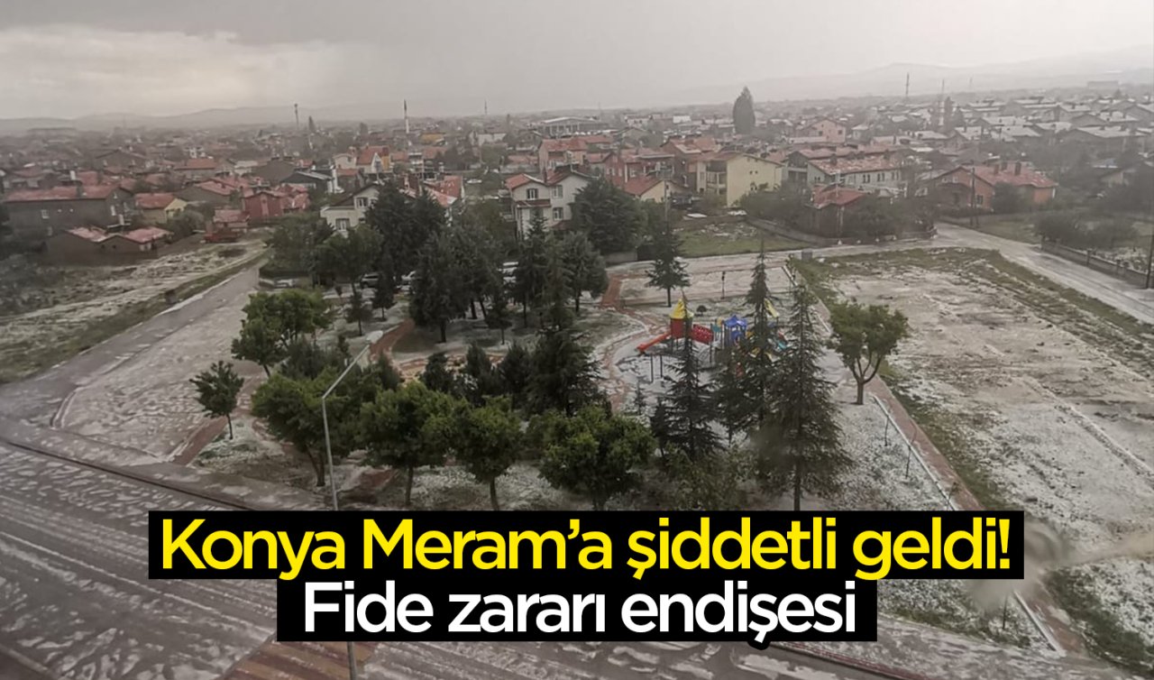 Konya Meram’a şiddetli geldi! Fide zararı endişesi