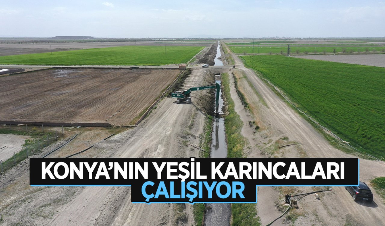 Konya’da yeşil karıncalar çalışıyor! 7 bin metrelik kısmın 2 bin 800’ü tamam