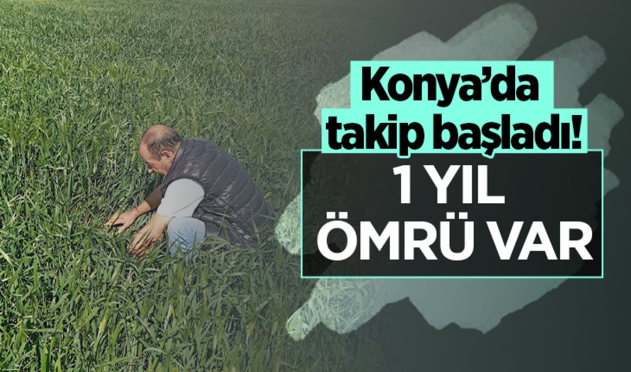 Konya takibe alındı! 1 yıl ömrü var 