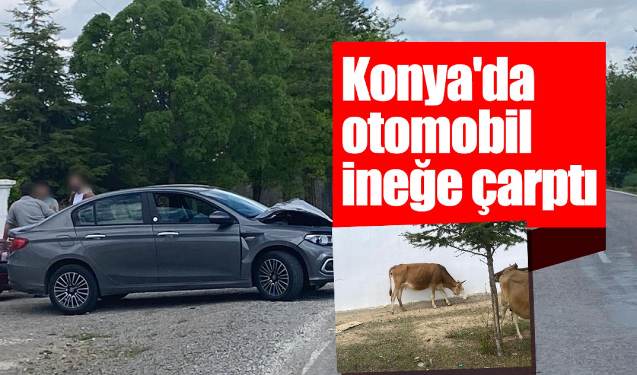 Konya’da otomobil ineğe çarptı