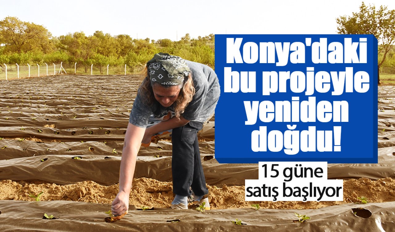 Konya’daki bu projeyle yeniden doğdu 15 güne satış başlıyor