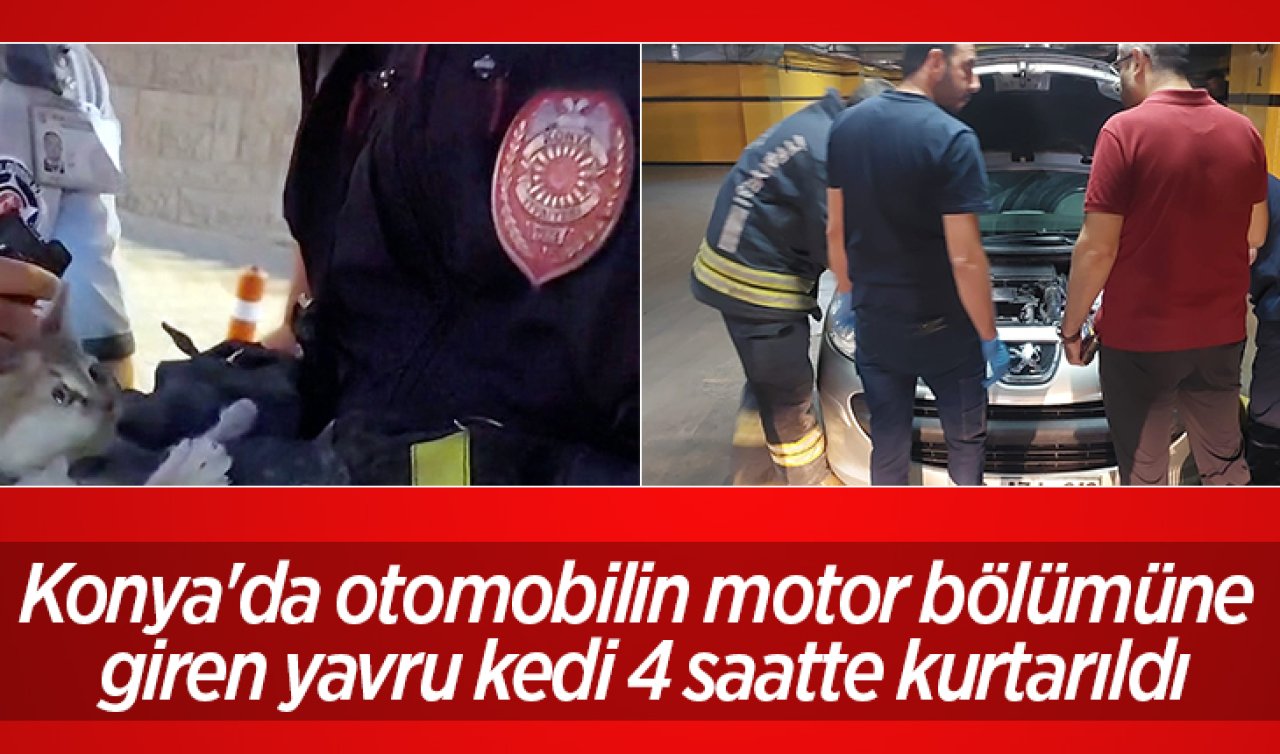 Konya’da otomobilin motor bölümüne giren yavru kedi 4 saatte kurtarıldı