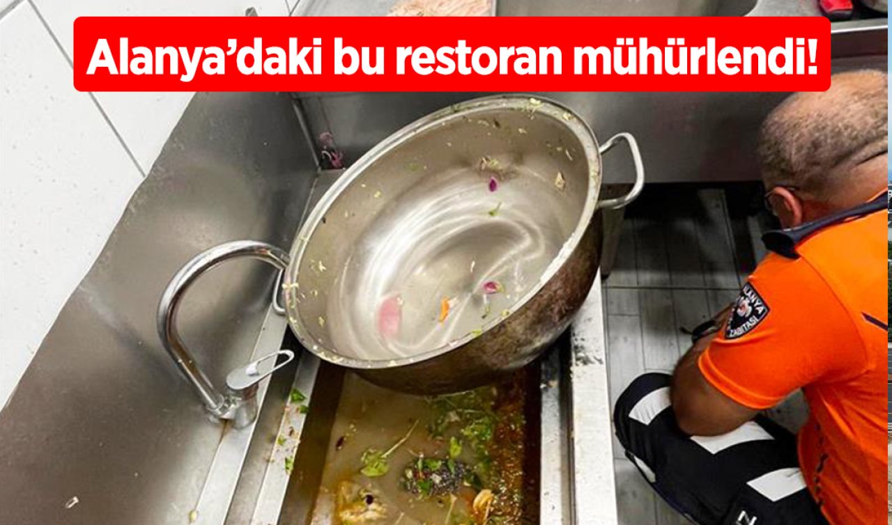 Alanya’daki bu lokanta süresiz mühürlendi! 0 Hijyen