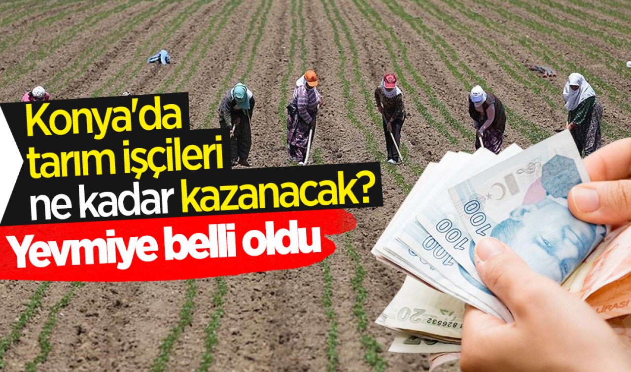 Konya’da tarım işçilerinin alacağı ücret belli oldu Yevmiye tavsiye kararı